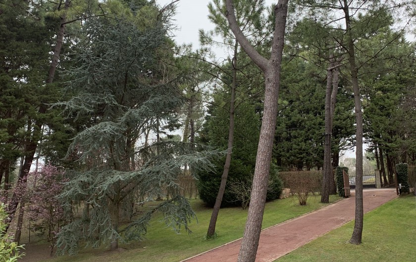 Location de vacances - Villa à Le Touquet-Paris-Plage