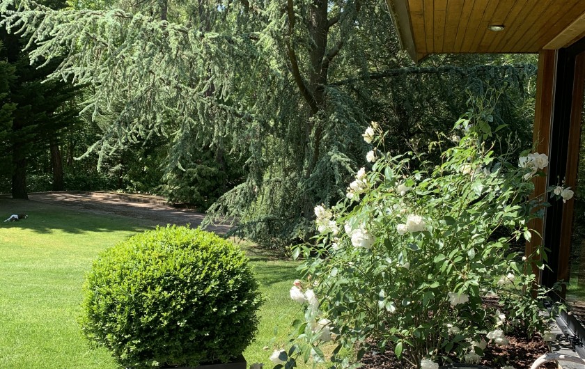 Location de vacances - Villa à Le Touquet-Paris-Plage