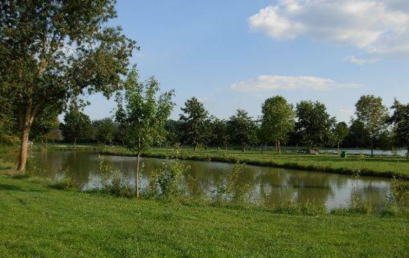 Location de vacances - Gîte à Genouillé