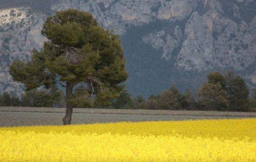 Location de vacances - Gîte à Moustiers-Sainte-Marie