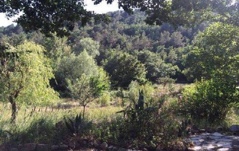 Location de vacances - Maison - Villa à Montferrat