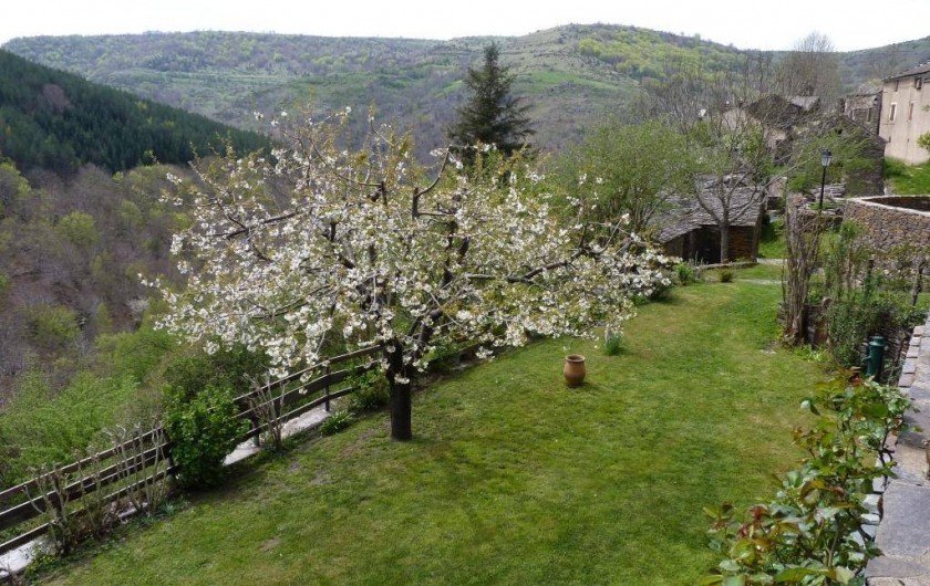 Location de vacances - Gîte à Saint-Julien-d'Arpaon