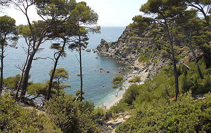 Location de vacances - Villa à Six-Fours-les-Plages