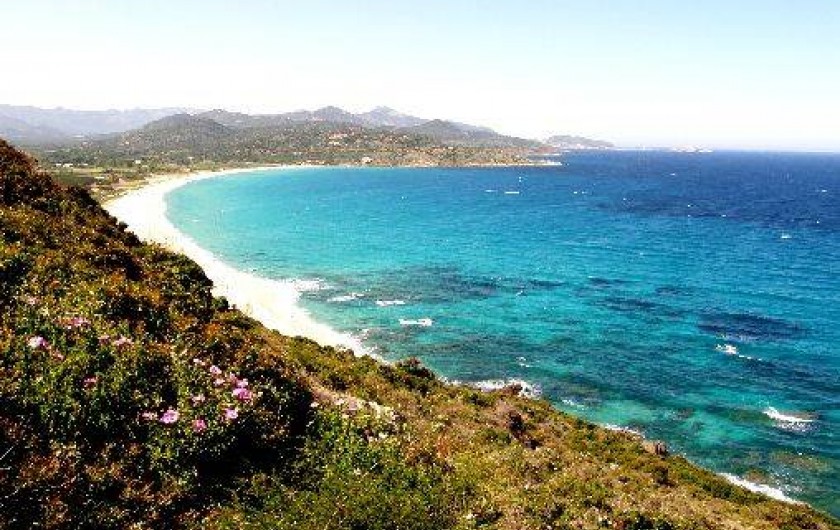 Location de vacances - Maison - Villa à Moltifao