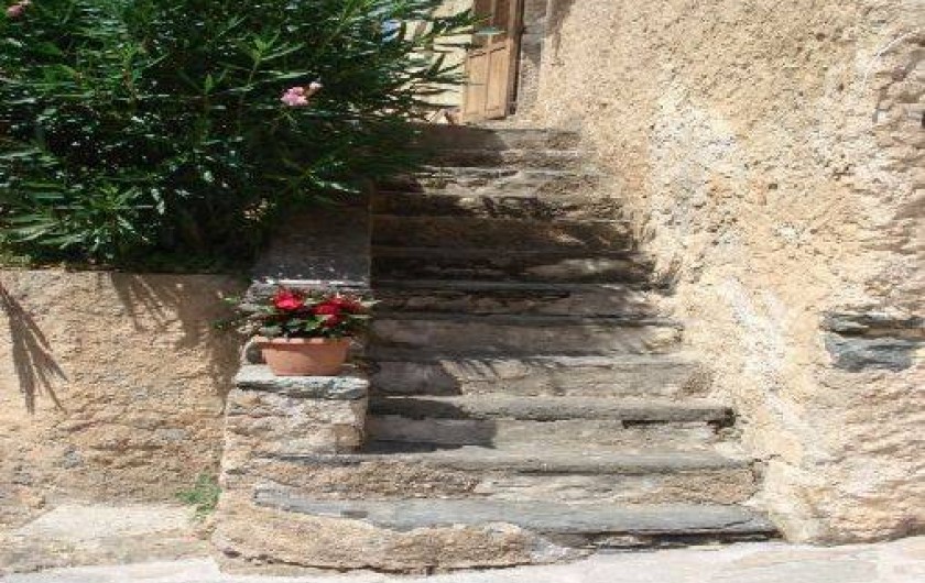 Location de vacances - Maison - Villa à Moltifao