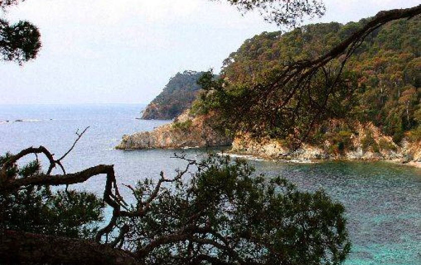 Location de vacances - Studio à Hyères