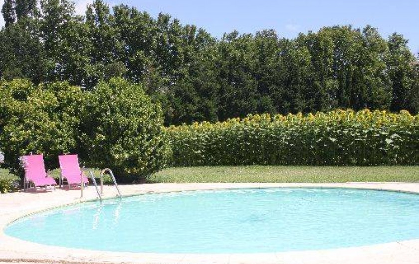 Location de vacances - Mas à Montfavet - piscine été