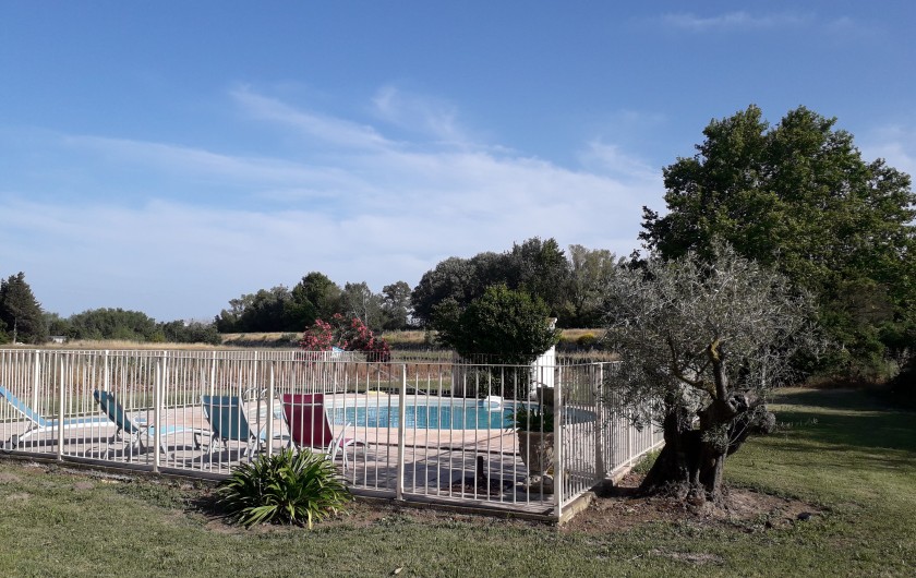 Location de vacances - Mas à Montfavet - piscine sécurisée