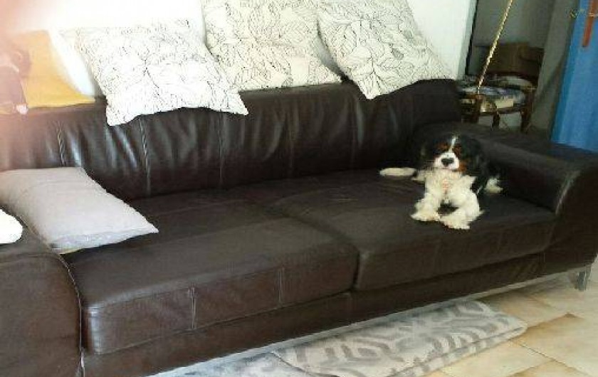 Location de vacances - Appartement à Sausset-les-Pins