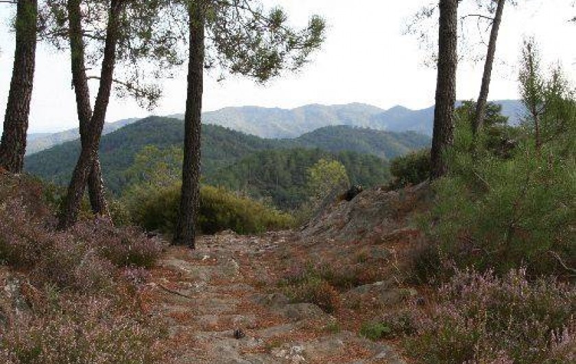 Location de vacances - Mas à Les Salles-du-Gardon