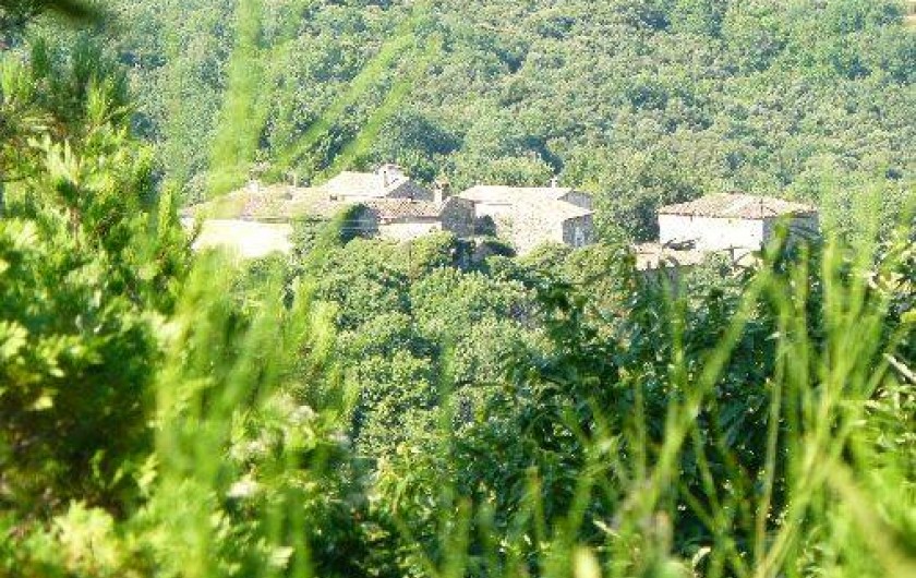 Location de vacances - Mas à Les Salles-du-Gardon