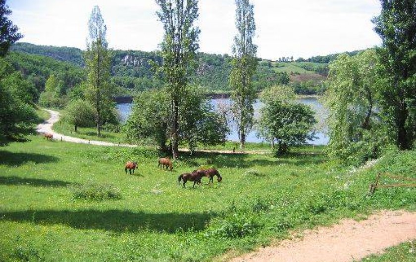 Location de vacances - Gîte à Mont-Roc