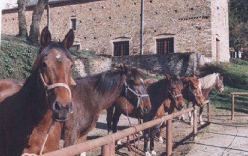 Location de vacances - Gîte à Mont-Roc