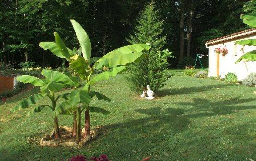 Location de vacances - Gîte à La Roque-Gageac