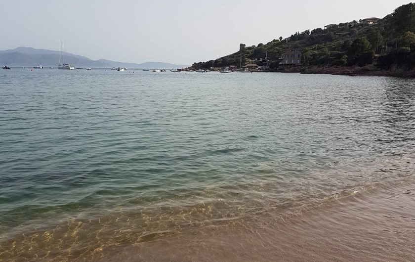 Location de vacances - Studio à Sagone - PLAGE DE SAGONE