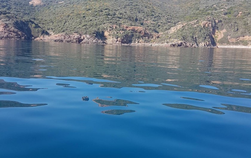 Location de vacances - Studio à Sagone - VUE DU BATEAU