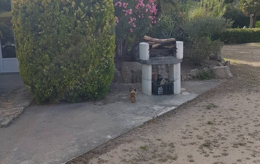 Location de vacances - Studio à Sagone - BARBECUL