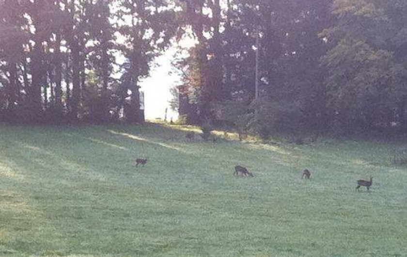 Location de vacances - Gîte à Courgeoût