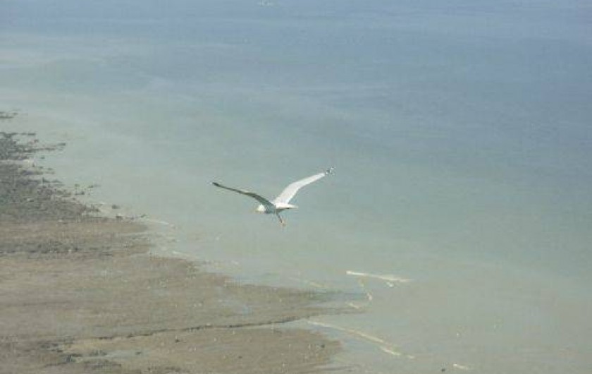 Location de vacances - Studio à Ault