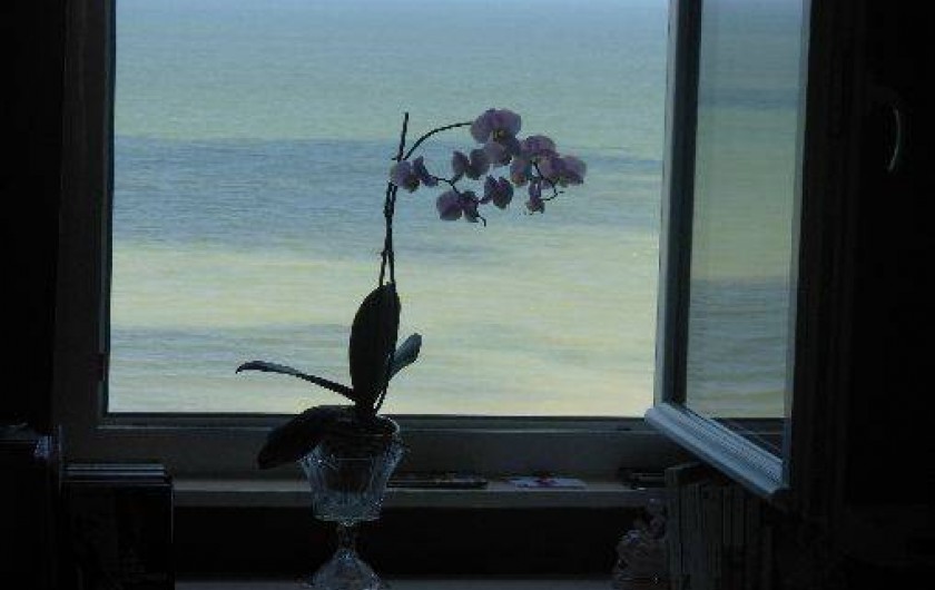 Location de vacances - Studio à Ault