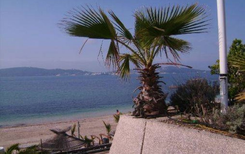 Location de vacances - Appartement à Toulon