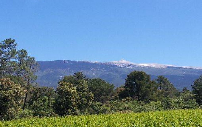 Location de vacances - Villa à Bédoin