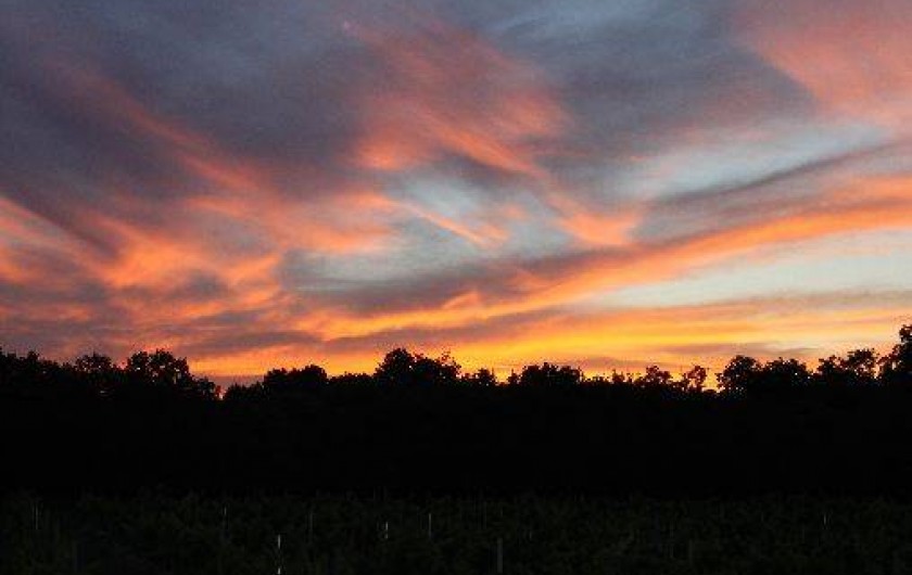 Location de vacances - Villa à Bédoin