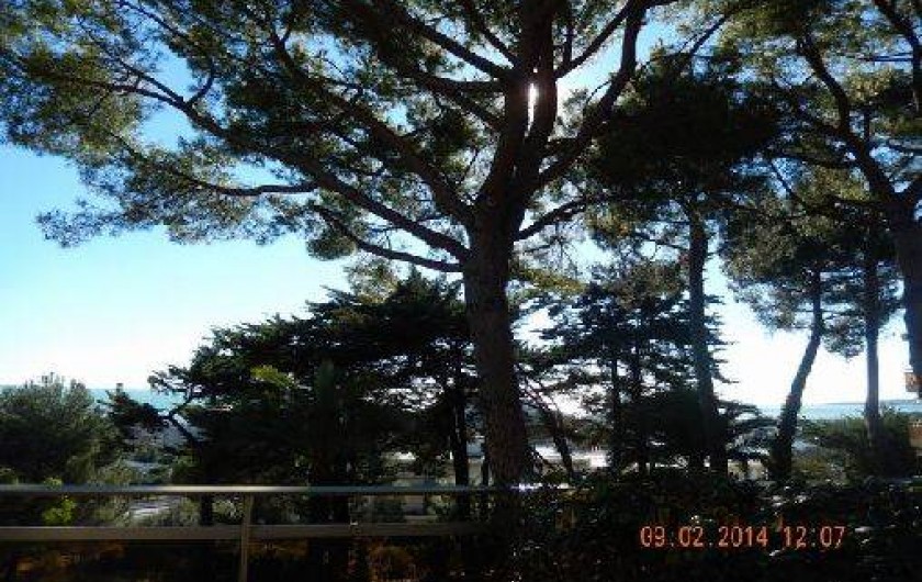 Location de vacances - Appartement à Villeneuve-Loubet