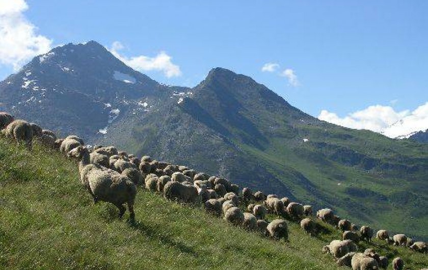 Location de vacances - Gîte à Champagny-en-Vanoise