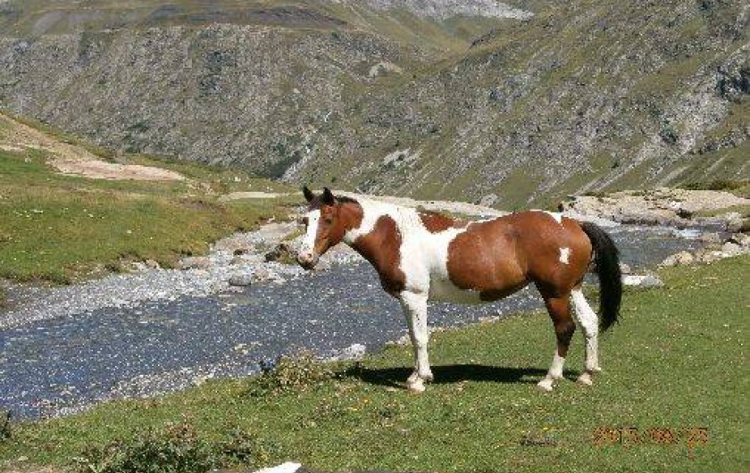 Location de vacances - Appartement à Gavarnie