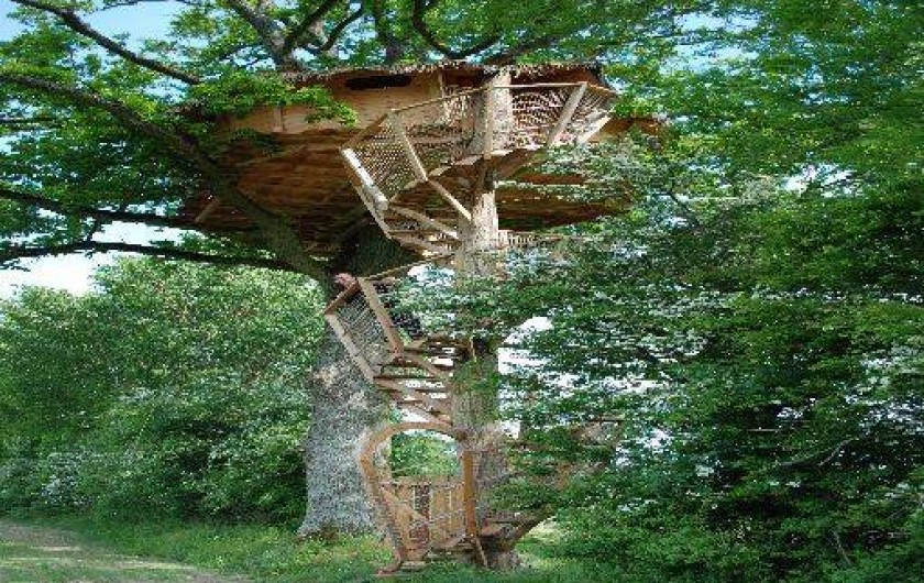 Location de vacances - Cabane dans les arbres à Moulicent