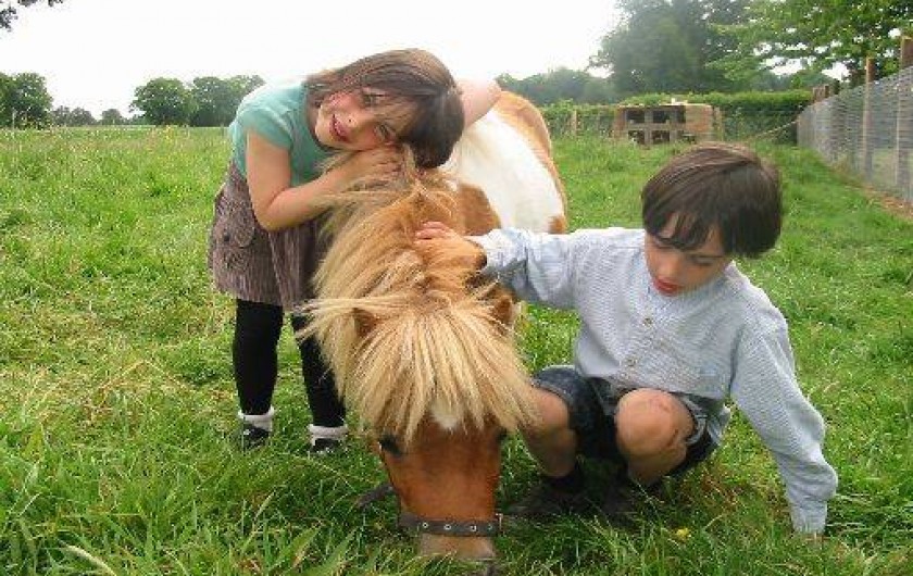 Location de vacances - Cabane dans les arbres à Moulicent