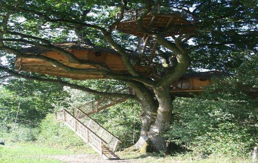 Location de vacances - Cabane dans les arbres à Moulicent