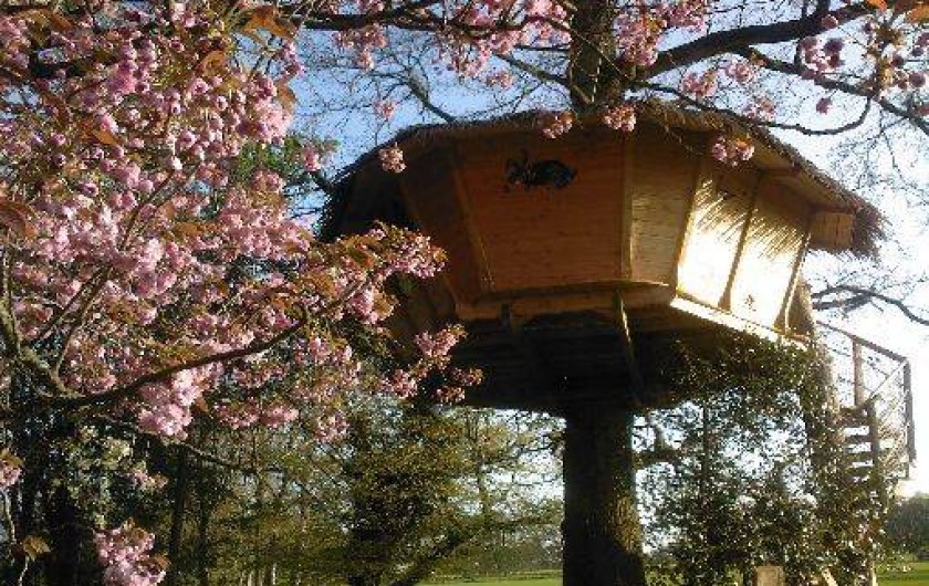 Location de vacances - Cabane dans les arbres à Moulicent