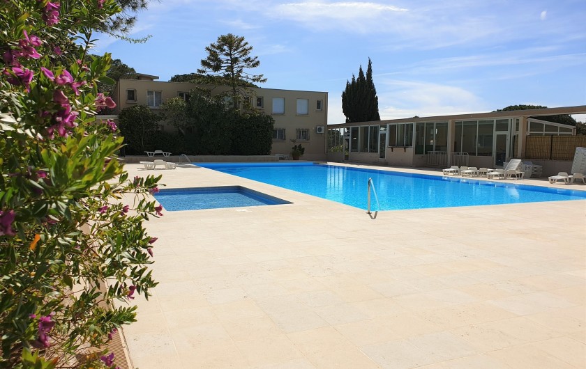 Location de vacances - Studio à Le Lavandou - Grande piscine