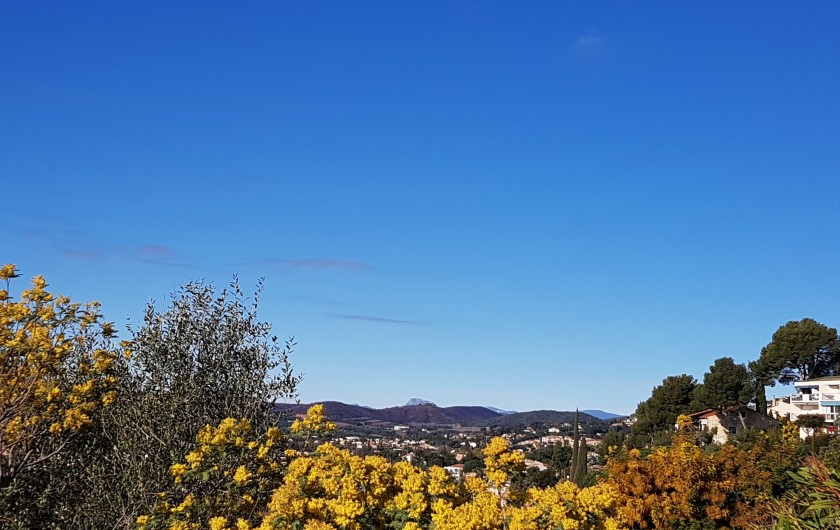 Location de vacances - Studio à Le Lavandou - Vue vers l'ouest, mimosas
