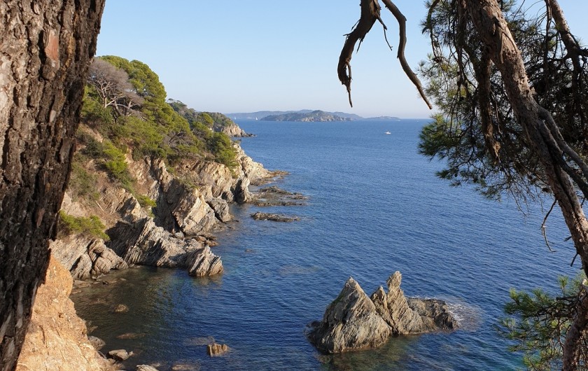 Location de vacances - Studio à Le Lavandou - Randonnée à la presqu'île de Giens