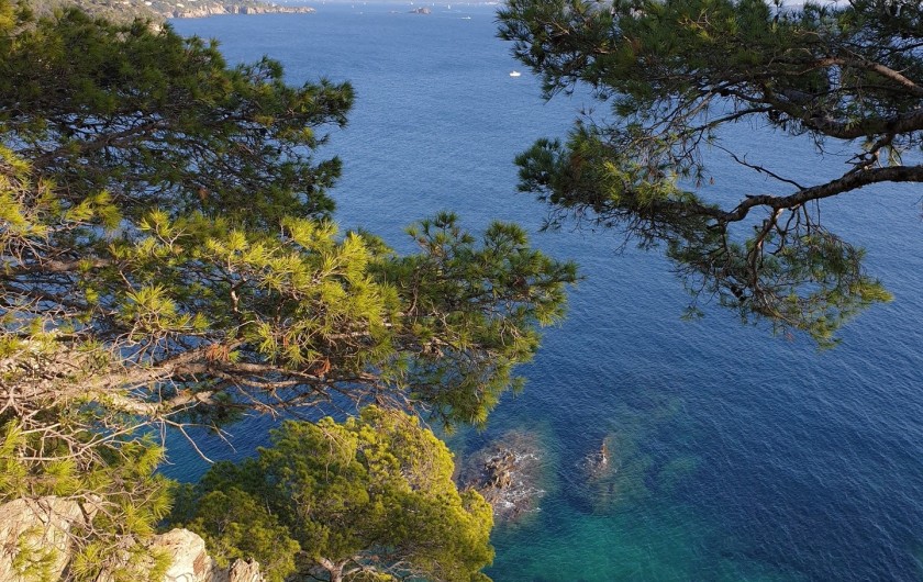 Location de vacances - Studio à Le Lavandou - Presqu'île de Giens