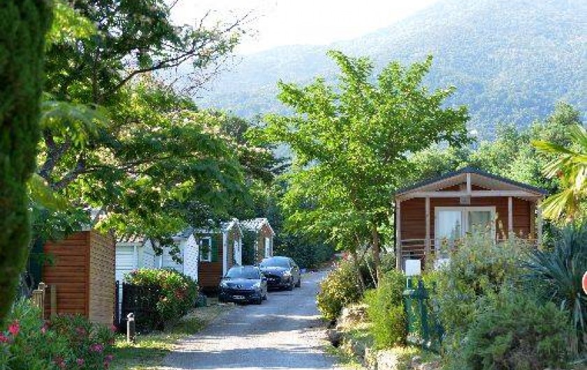 Location de vacances - Camping à Laroque-des-Albères