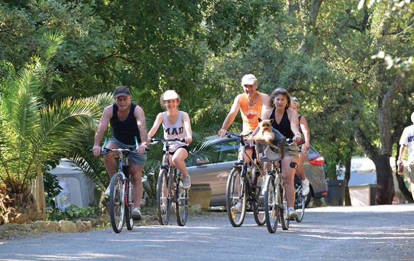 Location de vacances - Camping à Laroque-des-Albères - Services : location de vélos
