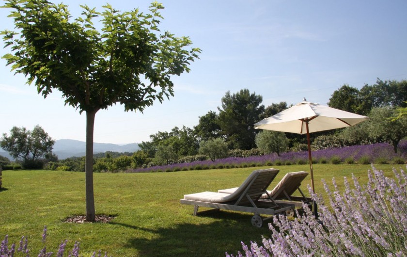 Location de vacances - Gîte à Rognes