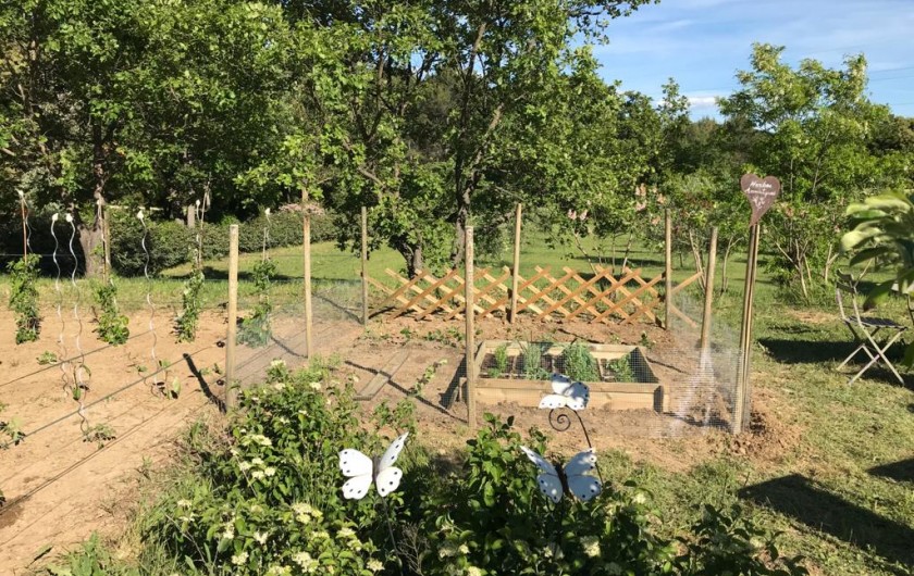 Location de vacances - Gîte à Rognes - Notre potager Bio !