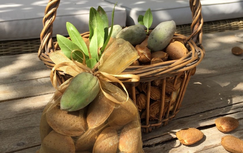 Location de vacances - Gîte à Rognes - Les bonnes amandes du verger !