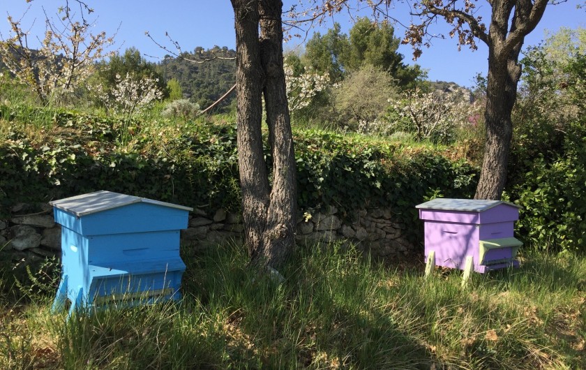 Location de vacances - Gîte à Rognes