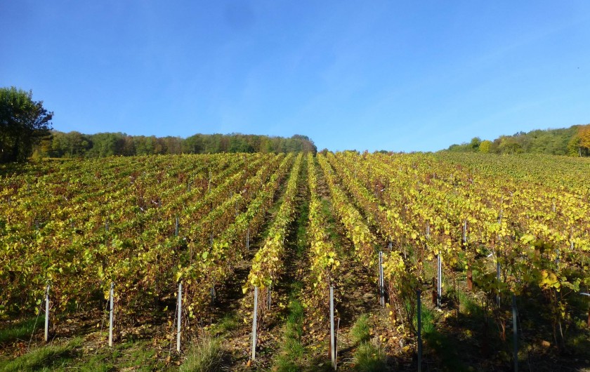 Location de vacances - Gîte à Essômes-sur-Marne