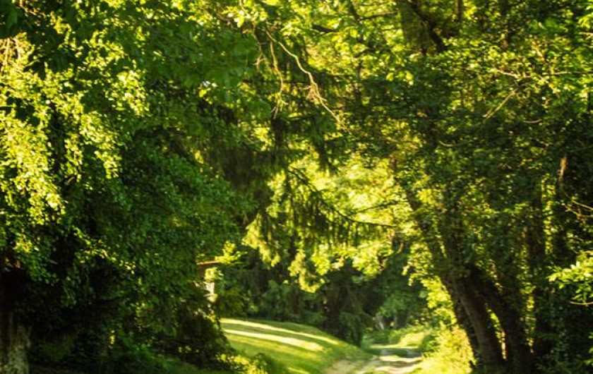Location de vacances - Gîte à Essômes-sur-Marne
