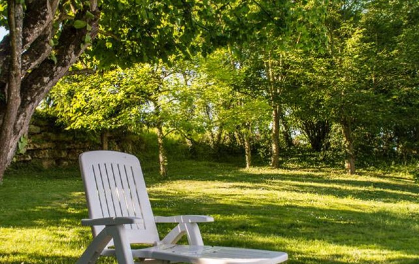 Location de vacances - Gîte à Essômes-sur-Marne - le jardin