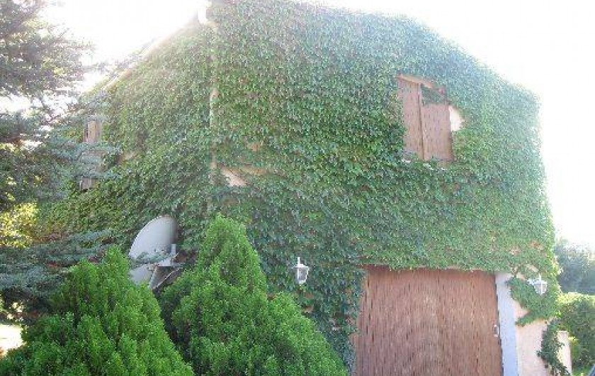 Location de vacances - Studio à Sisco