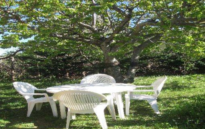 Location de vacances - Studio à Sisco