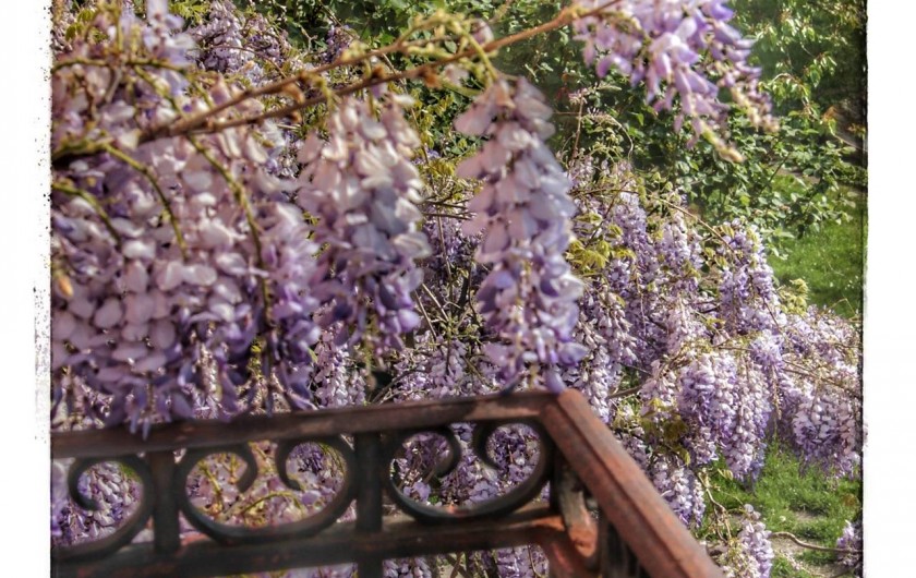 Location de vacances - Chambre d'hôtes à Chadeleuf